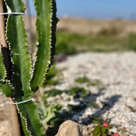 Helia Vakantiehuis Kos-stad